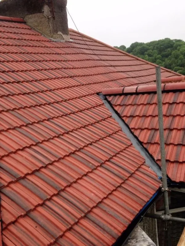new-tile-roof-1-1024x768